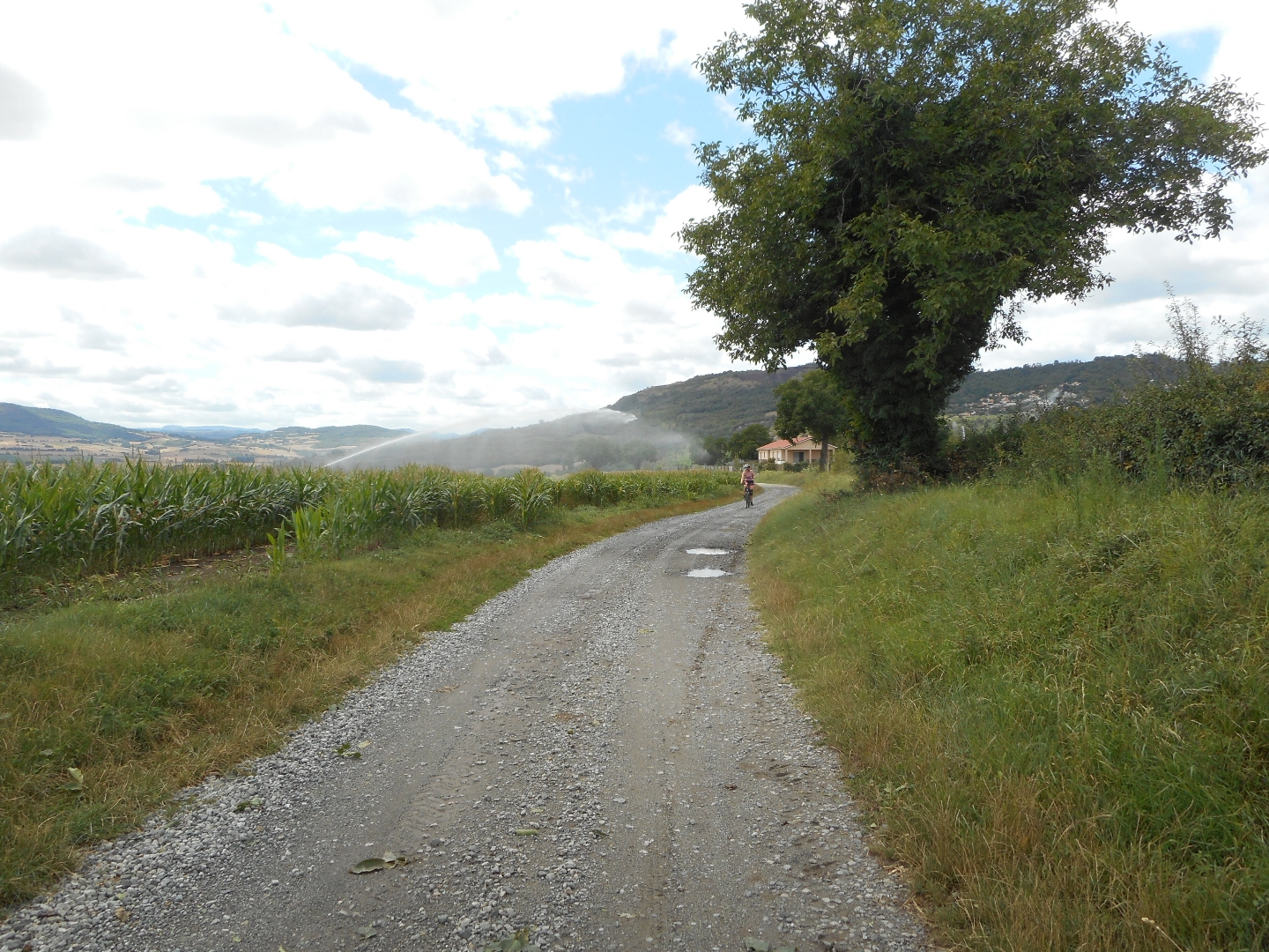 Photo n° 5 de l'avis de Philip.a fait le 01/08/2023 à 22:24