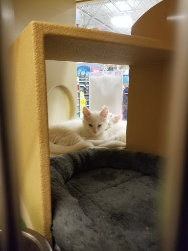 Pet Supply Store «PetSmart», reviews and photos, 15615 E Broadway Ave, Spokane Valley, WA 99037, USA