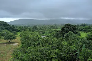 ISKCON- Vevaji Farm image