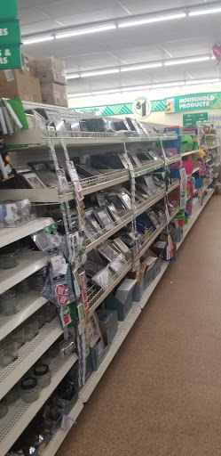 Dollar Store «Dollar Tree», reviews and photos, 912 River St Ste 100, Hyde Park, MA 02136, USA