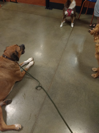 Pet Supply Store «PetSmart», reviews and photos, 104 Dettro Dr, Mattoon, IL 61938, USA