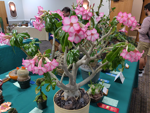 Conference Center «The Summit Conference & Event Center», reviews and photos, 411 Sable Blvd, Aurora, CO 80011, USA