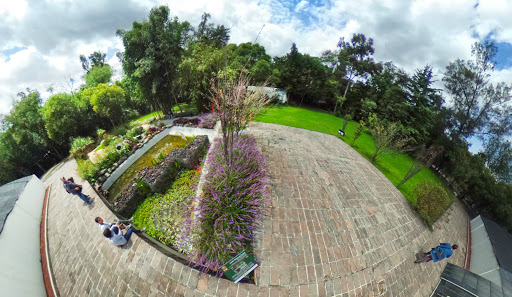 Jardín Botánico del Bosque de Chapultepec