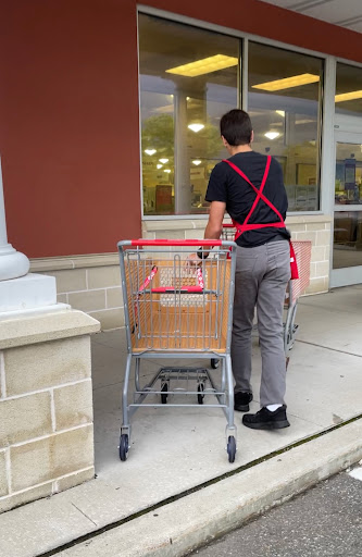 Department Store «HomeGoods», reviews and photos, 100 Reaville Ave, Flemington, NJ 08802, USA