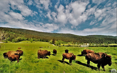 Ferme des Près Lauzés à Autrans
