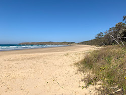 Photo de Sandy Beach avec rivage droit, long
