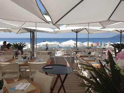 Belle Plage - Restaurant Plage - 31 Bd Jean Hibert, 06400 Cannes, France