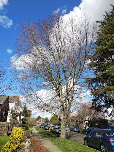 Park «Colman Park», reviews and photos, 1800 Lake Washington Blvd S, Seattle, WA 98144, USA