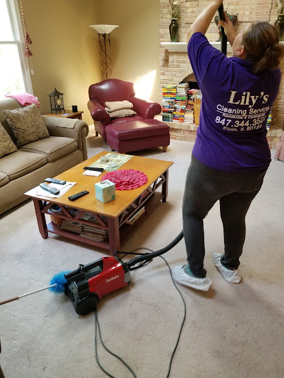 Lily'scleaning services