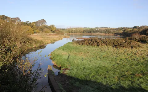 Cuskinny Marsh image