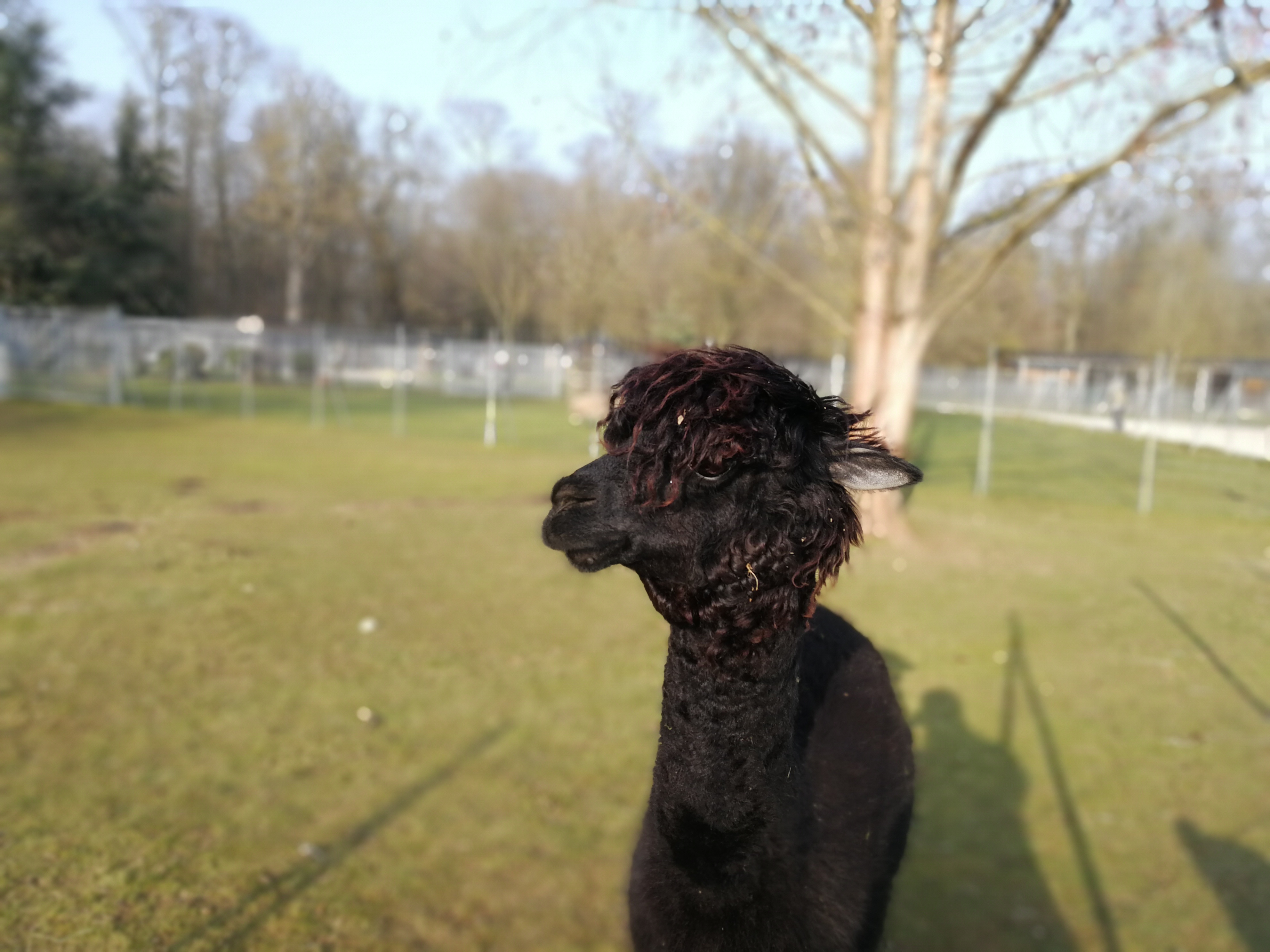 Photo n° 3 de l'avis de Vincent.t fait le 24/02/2018 à 15:49