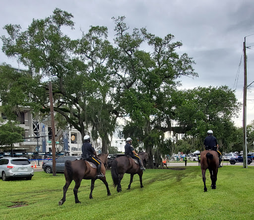 American Football Field «EverBank Field», reviews and photos, 1 Everbank Field Dr, Jacksonville, FL 32202, USA