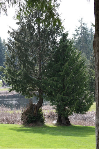 Golf Course «LakeLand Village Golf Course/Pro Shop», reviews and photos, 200 E Old Ranch Rd, Allyn, WA 98524, USA