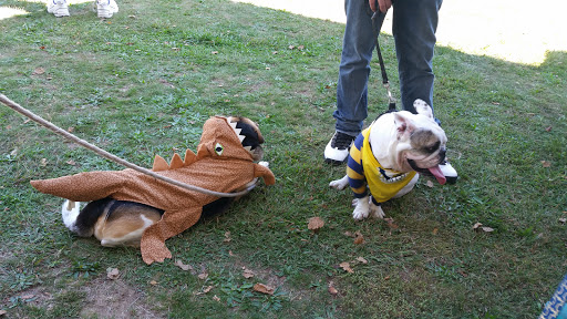 Park «Post Park», reviews and photos, 451 Unqua Rd, Massapequa Park, NY 11762, USA