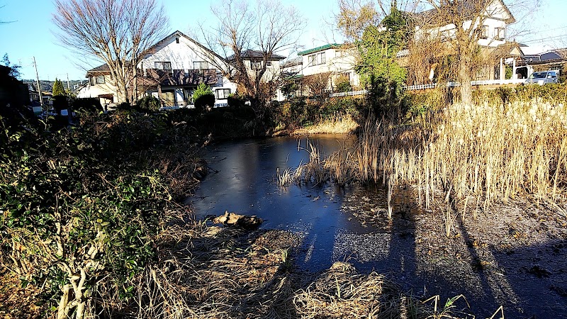 東大沼公園