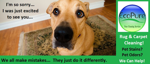 Carpet Cleaning Service «EcoPure Cleaning Services», reviews and photos, 10265 Spartan Dr j, Cincinnati, OH 45215, USA