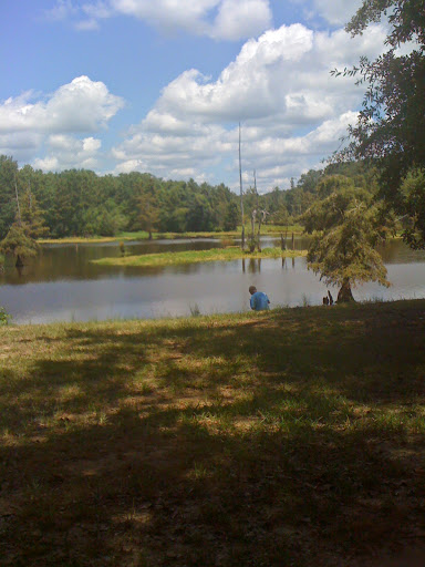 Park «Leake County Water Park», reviews and photos, 1190 Park Rd, Lena, MS 39094, USA