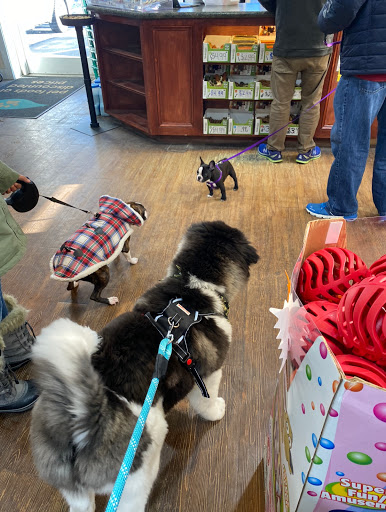 Pet Supply Store «The Natural Pet Outlet», reviews and photos, 3380 Fairfield Ave, Bridgeport, CT 06605, USA