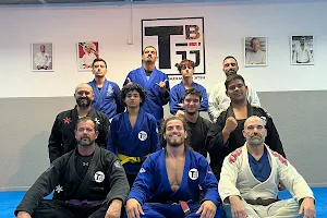TBJJ - Tatagiba Brazilian Jiu Jitsu - Seixal image