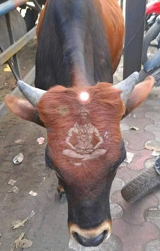 Discount Store «Walmart», reviews and photos, 6210 Annapolis Rd, Landover Hills, MD 20784, USA