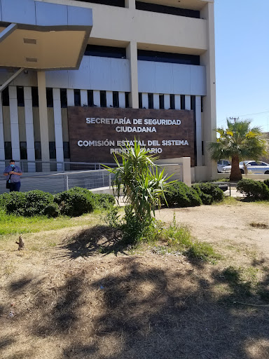 Secretaría de Seguridad Ciudadana del Estado de Baja California