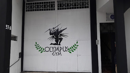 Olympus Gym - Av. Heroico Colegio Militar 97, Centro, 38400 Valle de Santiago, Gto., Mexico