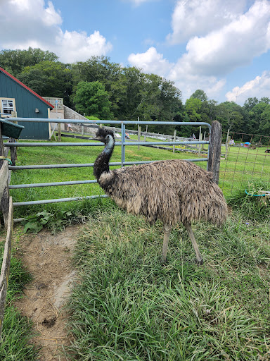 Farm «Clarks Elioak Farm LLC», reviews and photos, 10500 Clarksville Pike, Ellicott City, MD 21042, USA