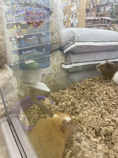 Pet Supply Store «Pet Supplies Plus», reviews and photos, 105 E Ogden Ave, Westmont, IL 60559, USA