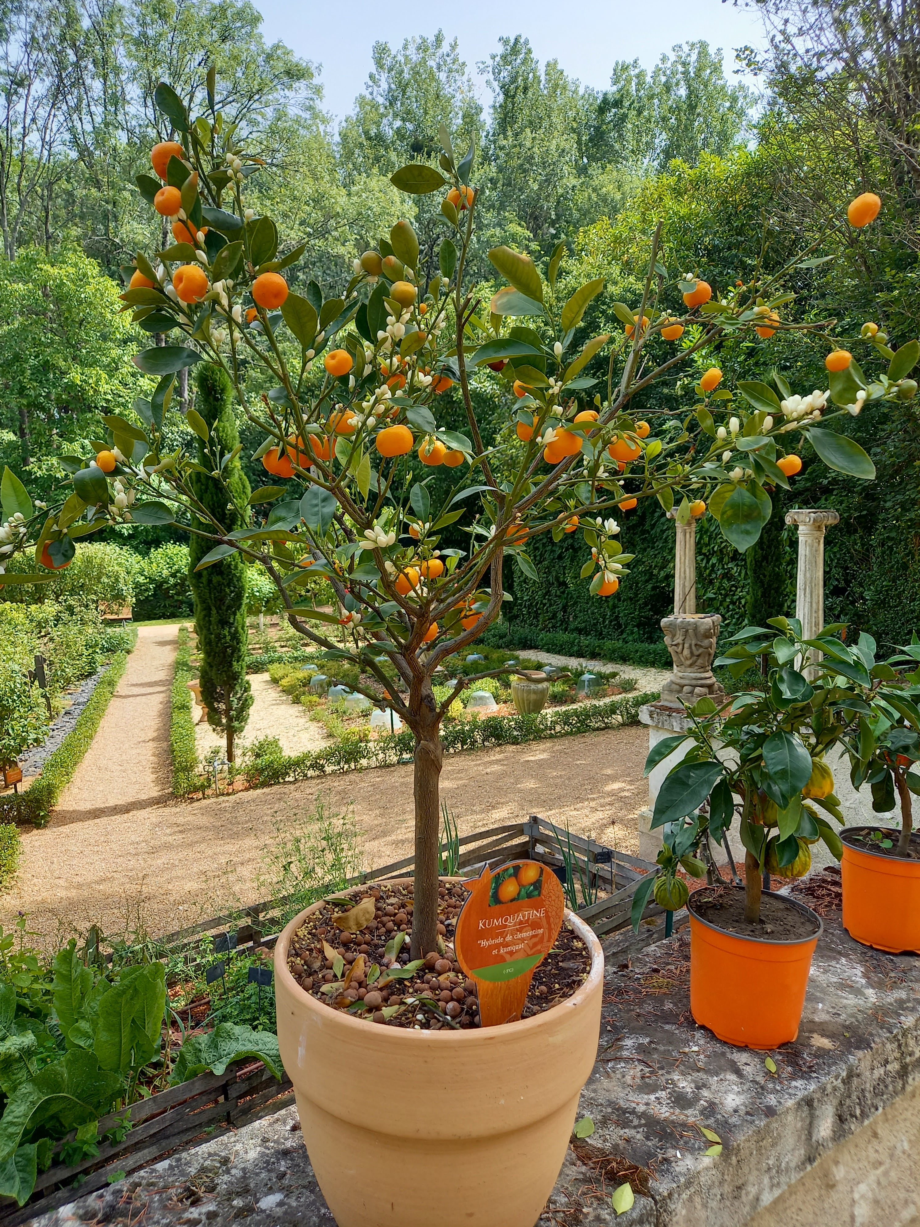 Photo n° 1 de l'avis de Domie.a fait le 21/06/2022 à 14:32