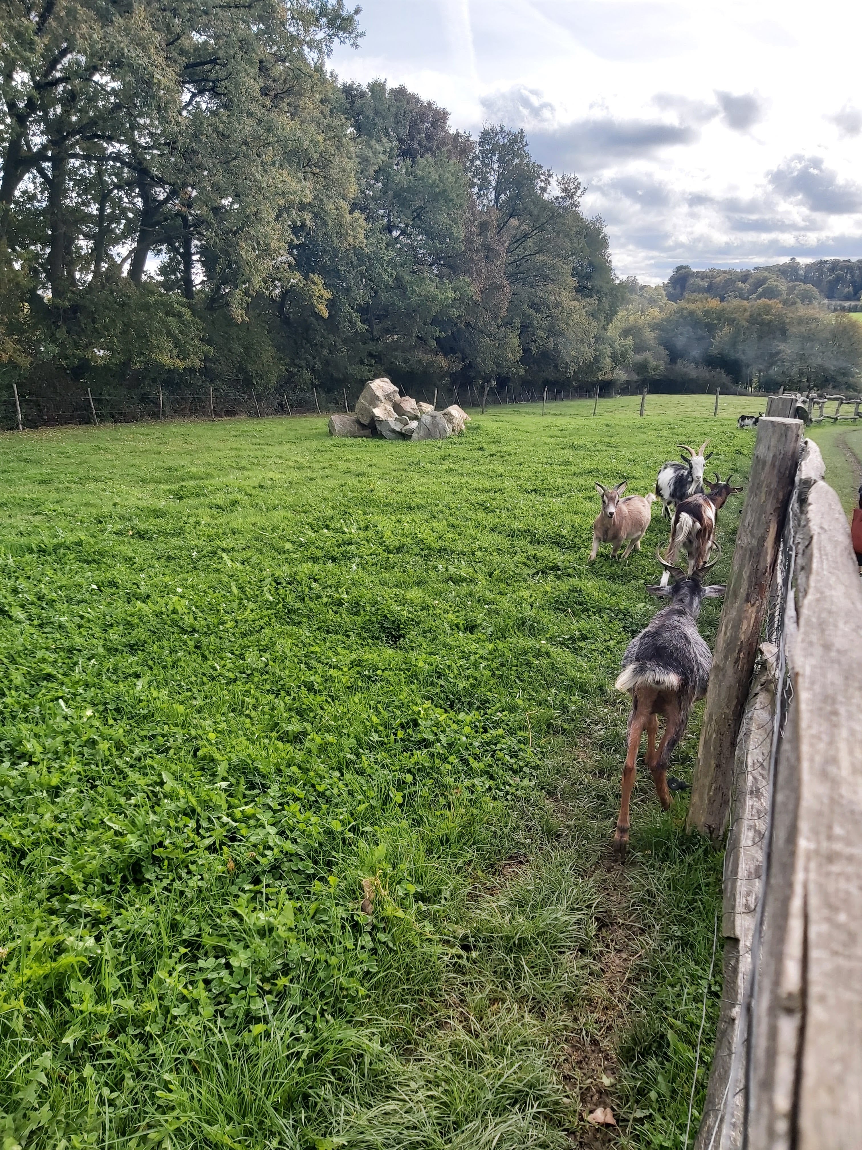 Photo n° 7 de l'avis de Surcouf.3 fait le 30/10/2021 à 16:23