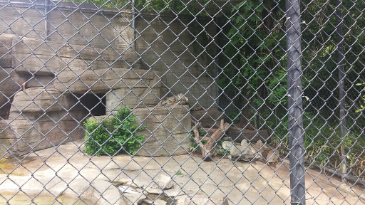 Tourist Attraction «Louisville Mega Cavern», reviews and photos, 1841 Taylor Ave, Louisville, KY 40213, USA