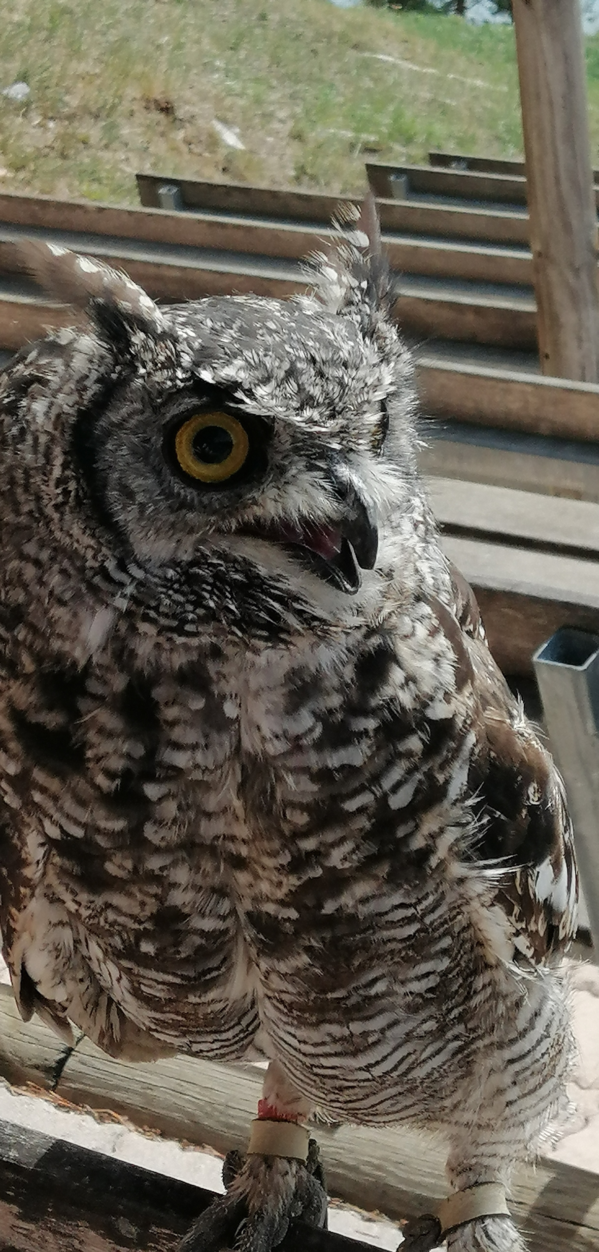 Photo n° 6 de l'avis de Jean.i fait le 08/09/2022 à 17:10