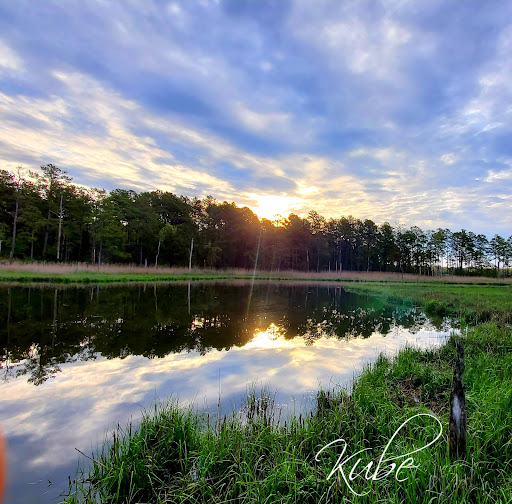 Golf Club «Peninsula Golf & Country Club», reviews and photos, 32981 Peninsula Esplanade, Millsboro, DE 19966, USA