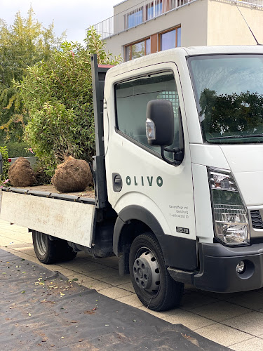 Olivo Gartenpflege und Gestaltung GmbH - Zug