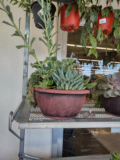 Hardware Store «Brentwood Ace Hardware», reviews and photos, 8900 Brentwood Blvd, Brentwood, CA 94513, USA