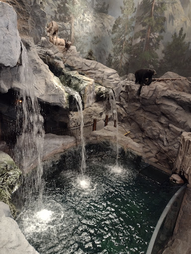 Sporting Goods Store «Bass Pro Shops», reviews and photos, 1356 Bass Pro Dr, Manteca, CA 95337, USA