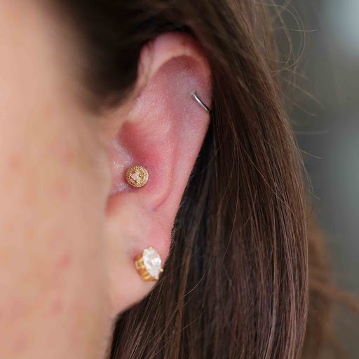 Find dino tattoo ideas for your next unique tattoo in Toledo at Piercings by Caitlin presents Holier Toledo