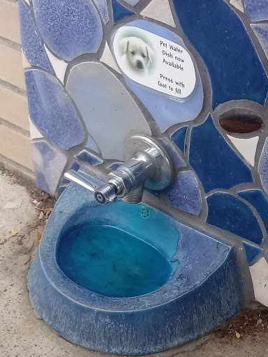 Coffee Shop «Angel Falls Coffee Company», reviews and photos, 792 W Market St, Akron, OH 44303, USA