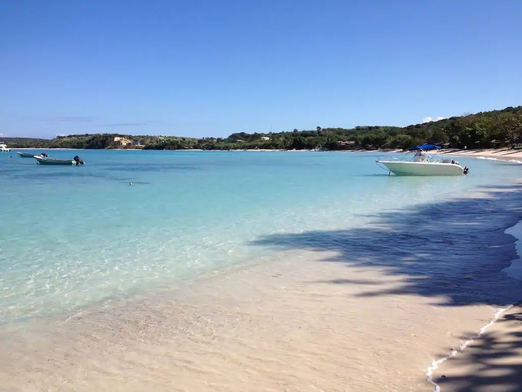 Φωτογραφία του Playa Punta Rucia με επίπεδο καθαριότητας πολύ καθαρό