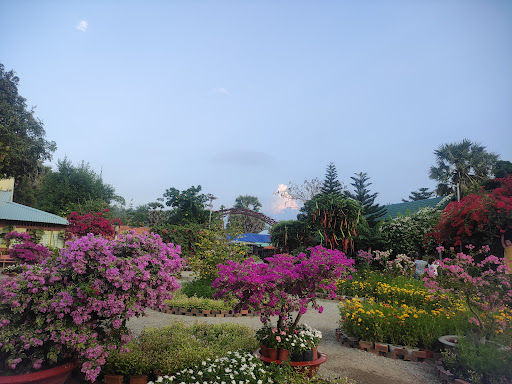 Top 20 mẫu cửa hàng đẹp Huyện Tịnh Biên An Giang 2022