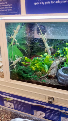 Pet Supply Store «PetSmart», reviews and photos, 7505 E 35th Ave, Denver, CO 80238, USA