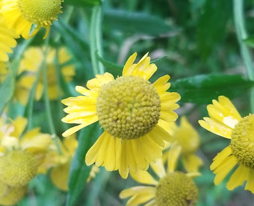 State Park «Rosaryville State Park», reviews and photos, 7805 W Marlton Ave, Clinton, MD 20735, USA