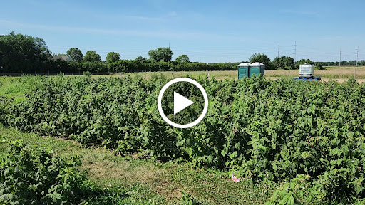 Farm «Lewin Farms», reviews and photos, 812 Sound Ave, Calverton, NY 11933, USA