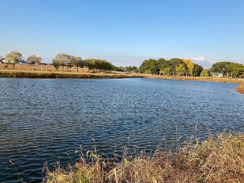 筑後広域公園