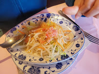 Plats et boissons du Restaurant chinois Le Palais d'Or à Villeneuve-sur-Yonne - n°11