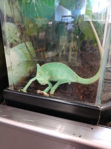 Pet Supply Store «Petco Animal Supplies», reviews and photos, 226 Thornton Drive, Dickson, TN 37055, USA