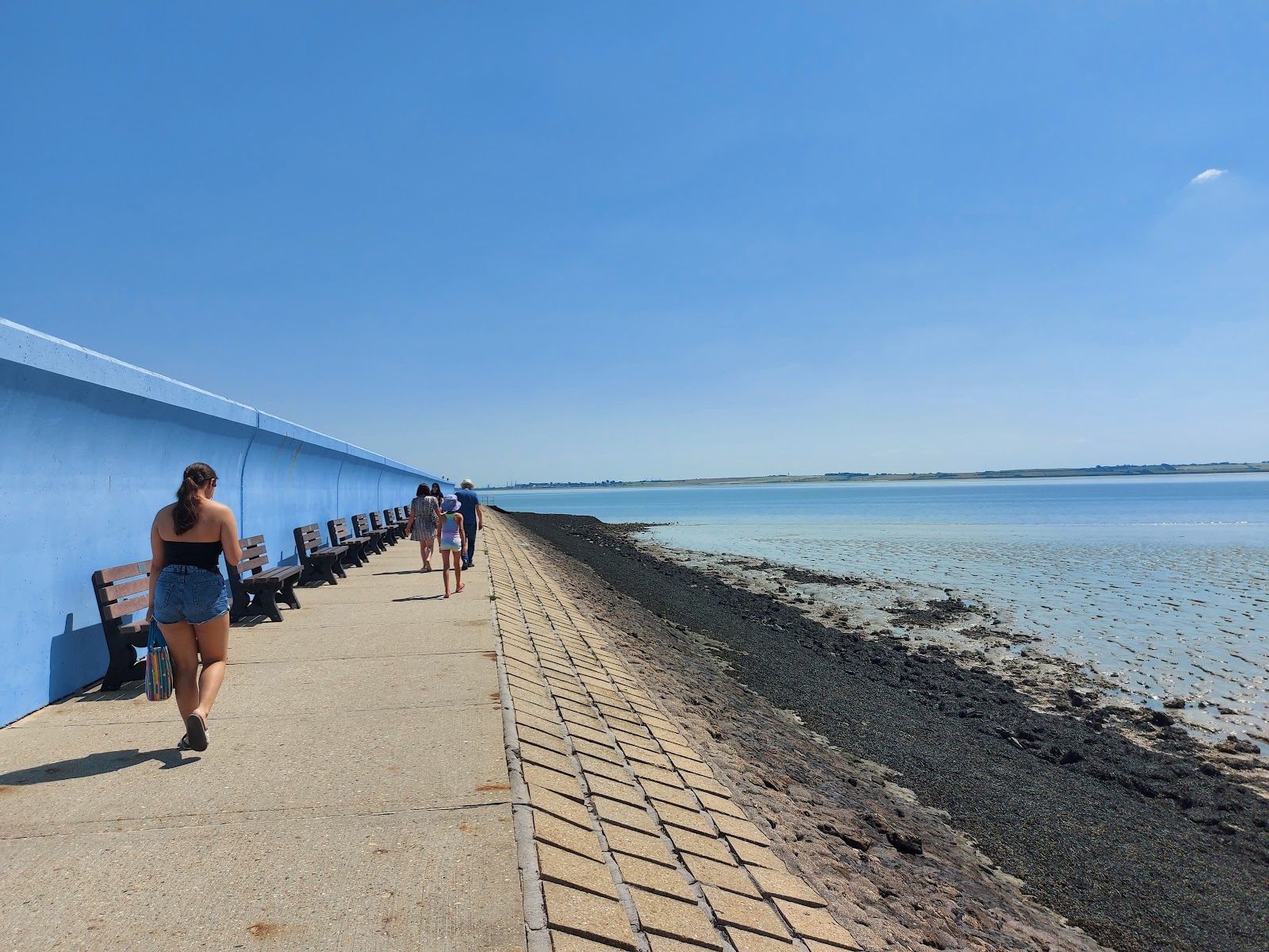 Photo de Thorney Bay Beach et le règlement