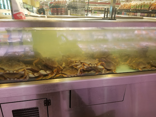 Supermarket «Seafood City Supermarket», reviews and photos, 1535 Landess Ave, Milpitas, CA 95035, USA