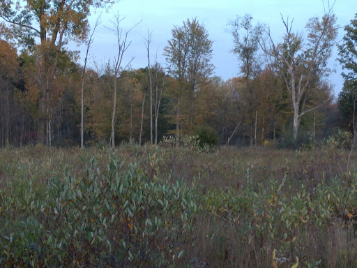 Nature Preserve «Leonard Preserve», reviews and photos, N Union St, Manchester, MI 48158, USA