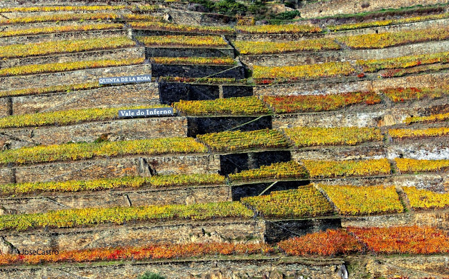 CMTOUR Porto Horário de abertura